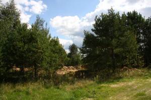 Чехикьян 140