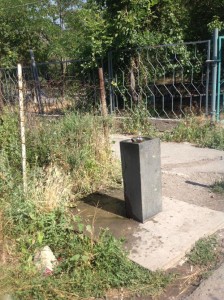 Пулпулаки могут иметь как простую…